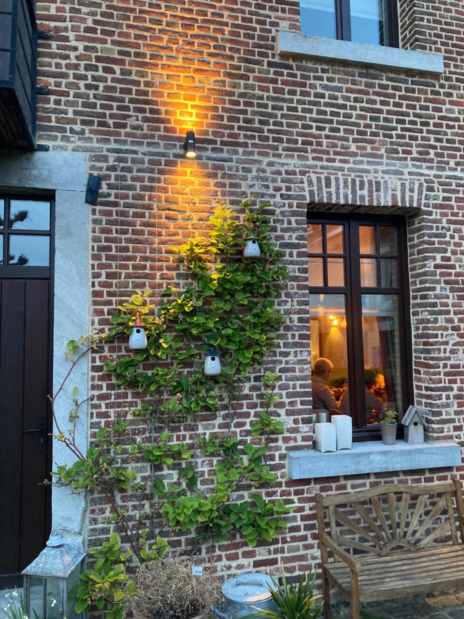 Bed and Breakfast De Ruttermolen à Tongres Extérieur photo